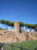 PICTURES/Rome - Forum & Palentine Hill/t_Palace of Domitian1.JPG